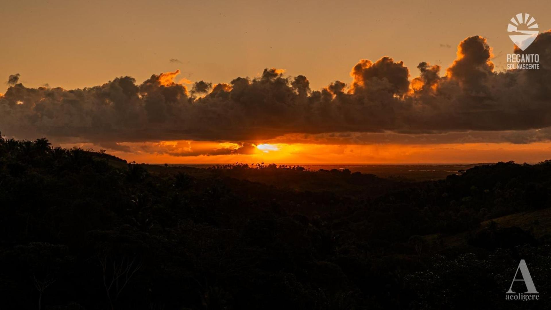 Pousada Recanto Sol Nascente, Luxo E Proximidade Com A Natureza Hotel Rio Formoso Buitenkant foto
