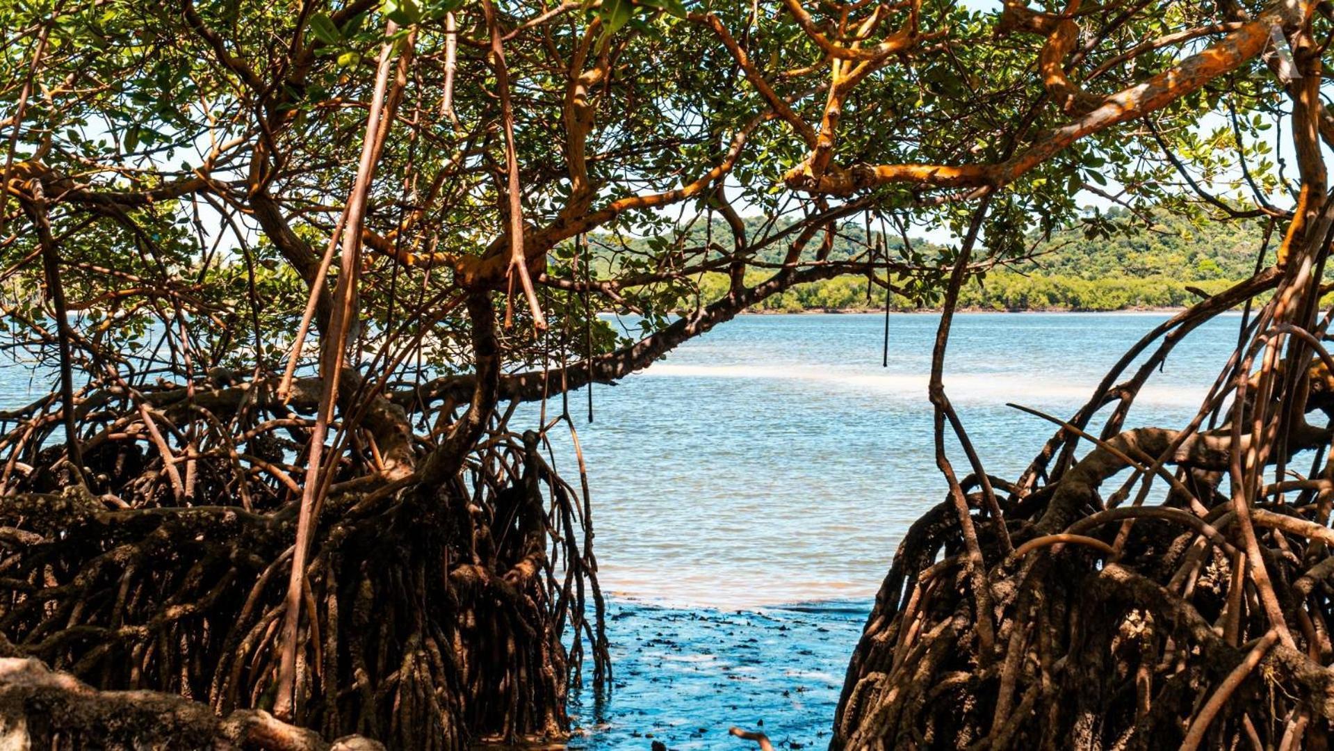 Pousada Recanto Sol Nascente, Luxo E Proximidade Com A Natureza Hotel Rio Formoso Buitenkant foto